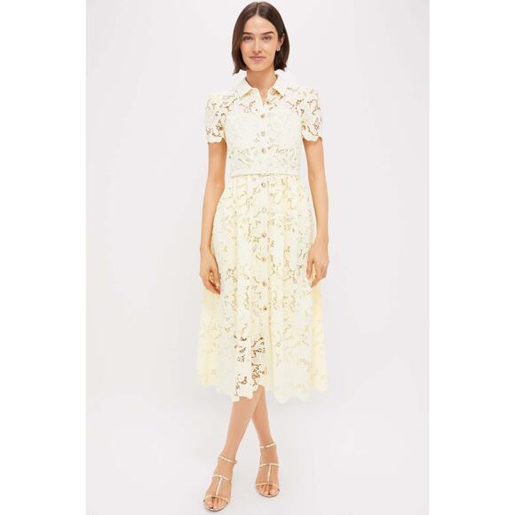 SELF-PORTRAIT Yellow Lace Collared Midi Dress Size 6 NWT Retail $555 - Picture 4 of 5